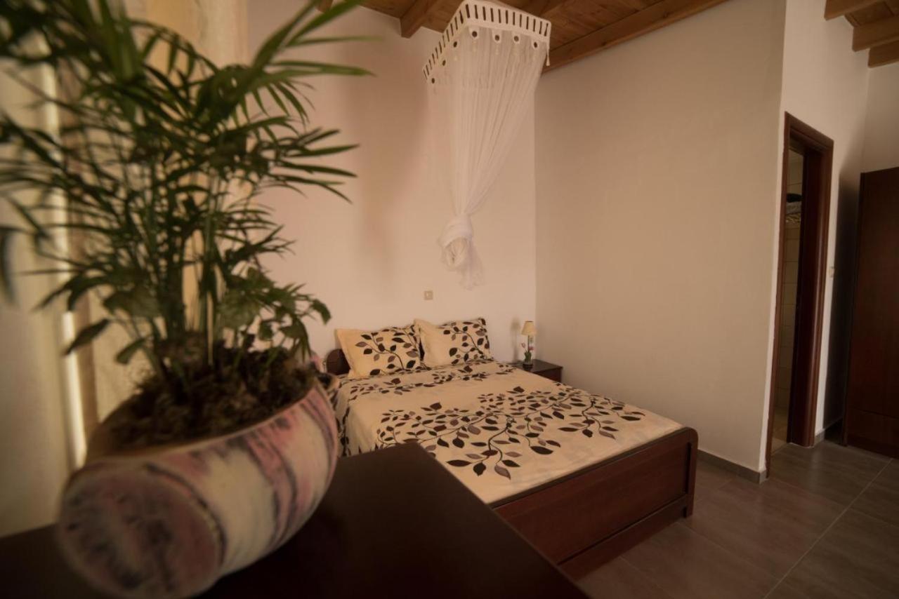 Bodikos Apartments 皮特斯迪亚 外观 照片